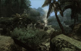 Jungle Bivouac